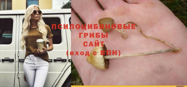 индика Зеленокумск