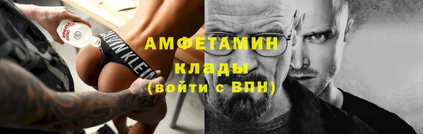 индика Зеленокумск