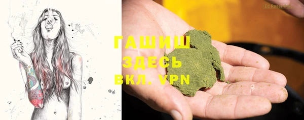 индика Зеленокумск