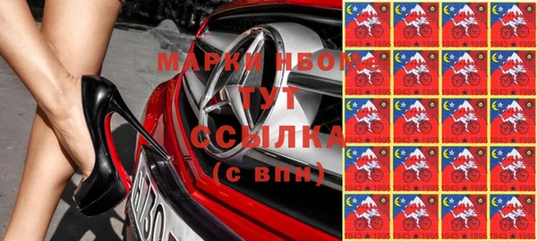 индика Зеленокумск
