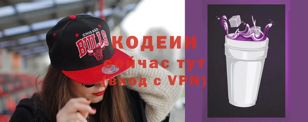индика Зеленокумск