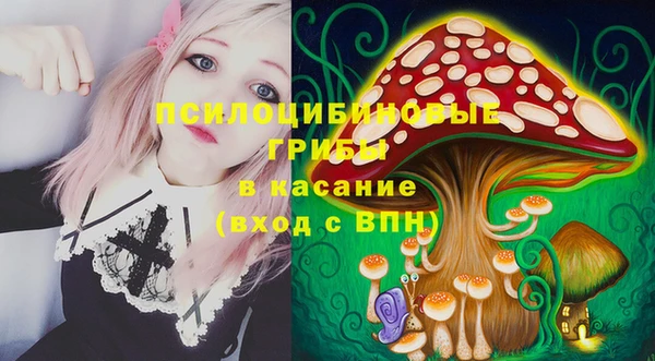 mdma Заводоуковск