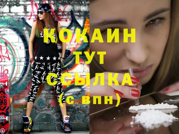 индика Зеленокумск