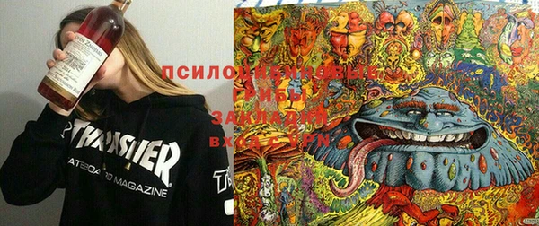 марихуана Зерноград