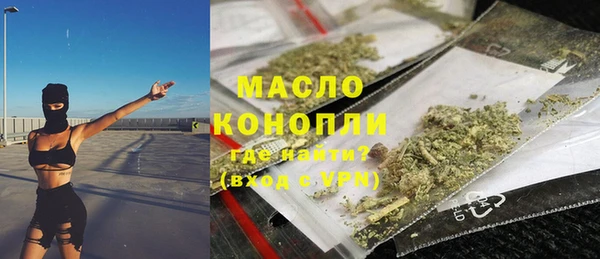 индика Зеленокумск