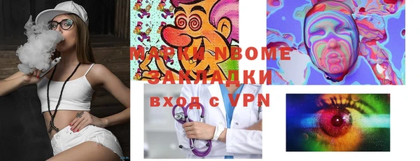 индика Зеленокумск