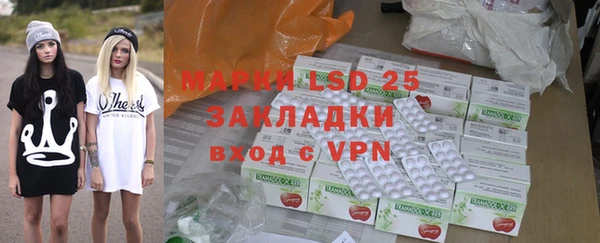 индика Зеленокумск