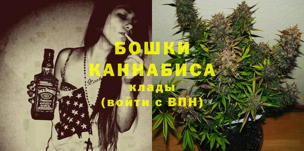 индика Зеленокумск